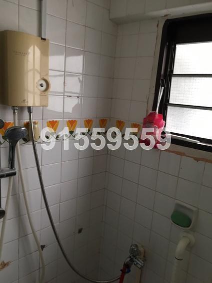 Blk 254 Hougang Avenue 3 (Hougang), HDB 3 Rooms #134216002